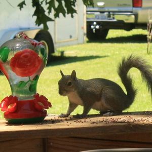 Meet your Posher, Beverly